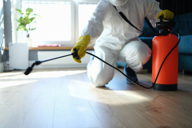 Reliable Odor Removal contractor in Saint Louis, MO by Crime Scene Cleaner Online
